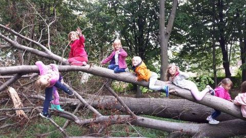 Asili e scuole nel bosco